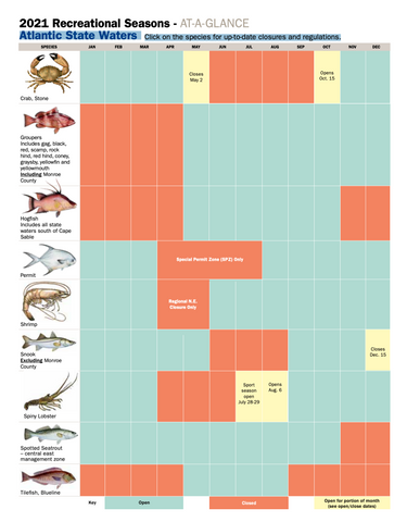 Atlantic State Waters Saltwater Fishing Rules