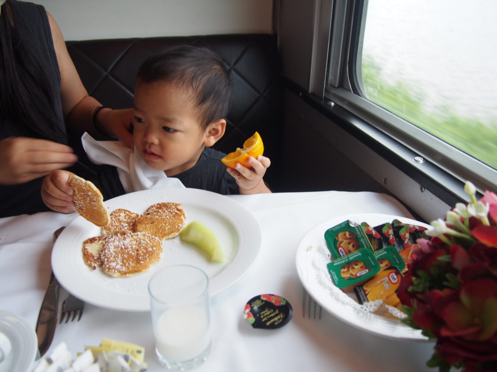 Via Rail Canadian Traveling with Toddler Experience