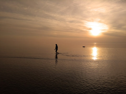 Person and dog walking in sunset lit sea