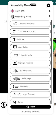 Screenshot showing accessibility options