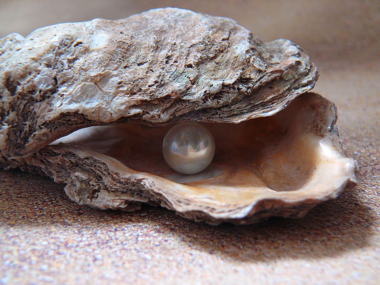 Different type of pearls