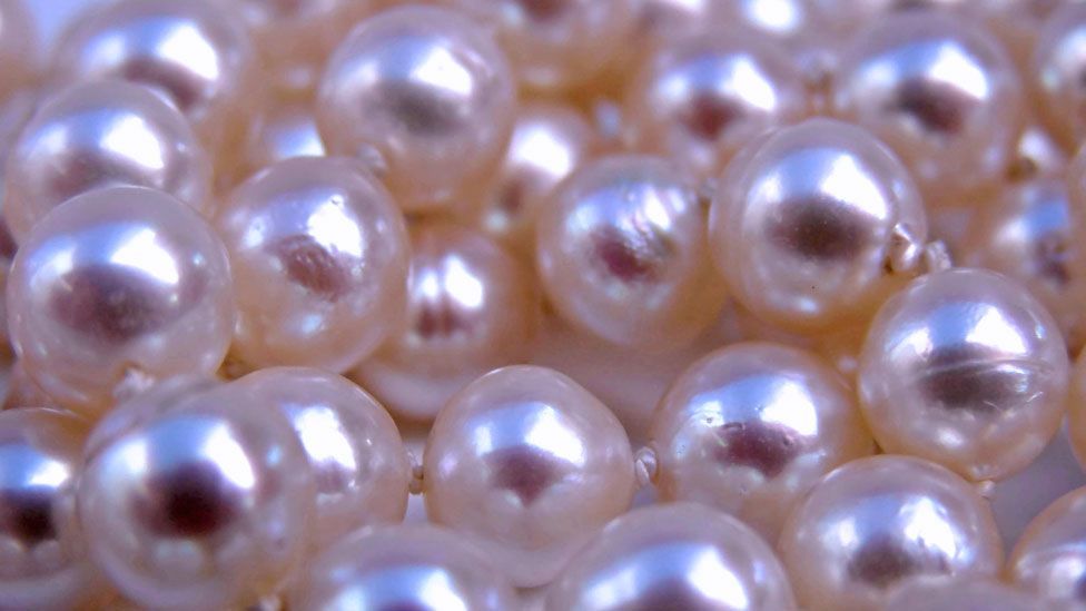 Interesting facts about pearls formation