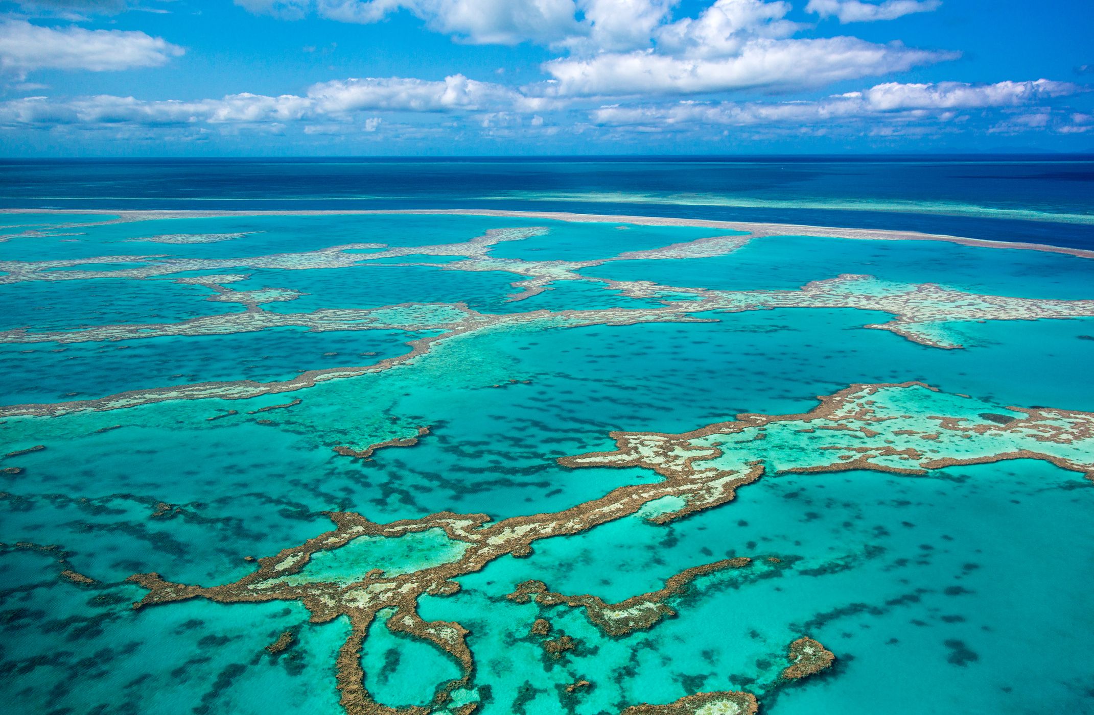 Amazing facts on great barrier reefs