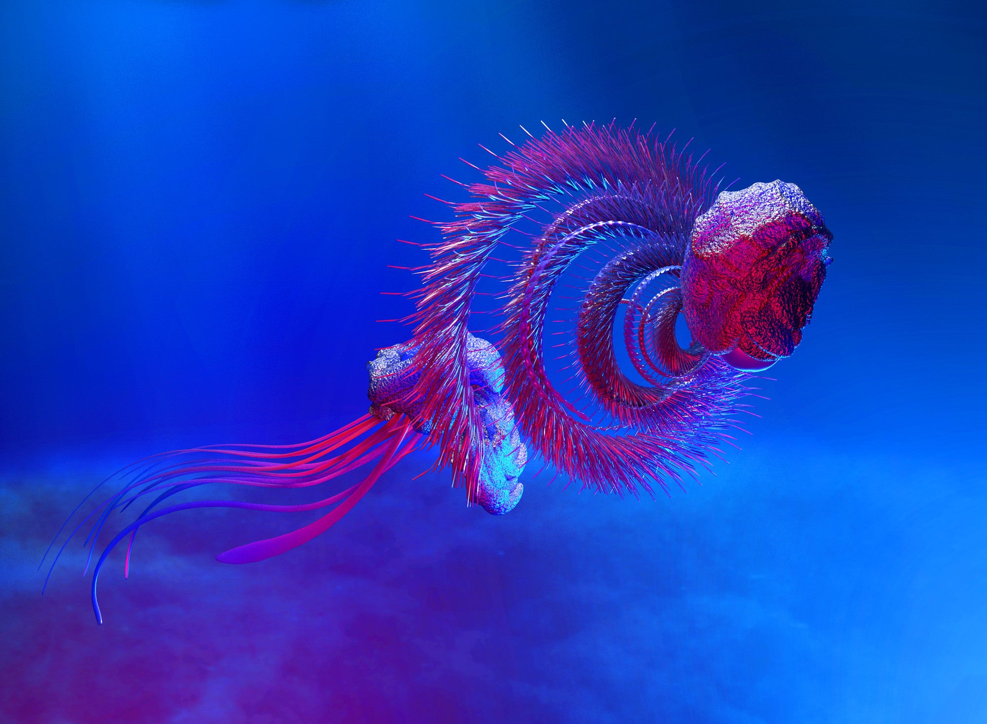 Awesome beautiful ocean animals