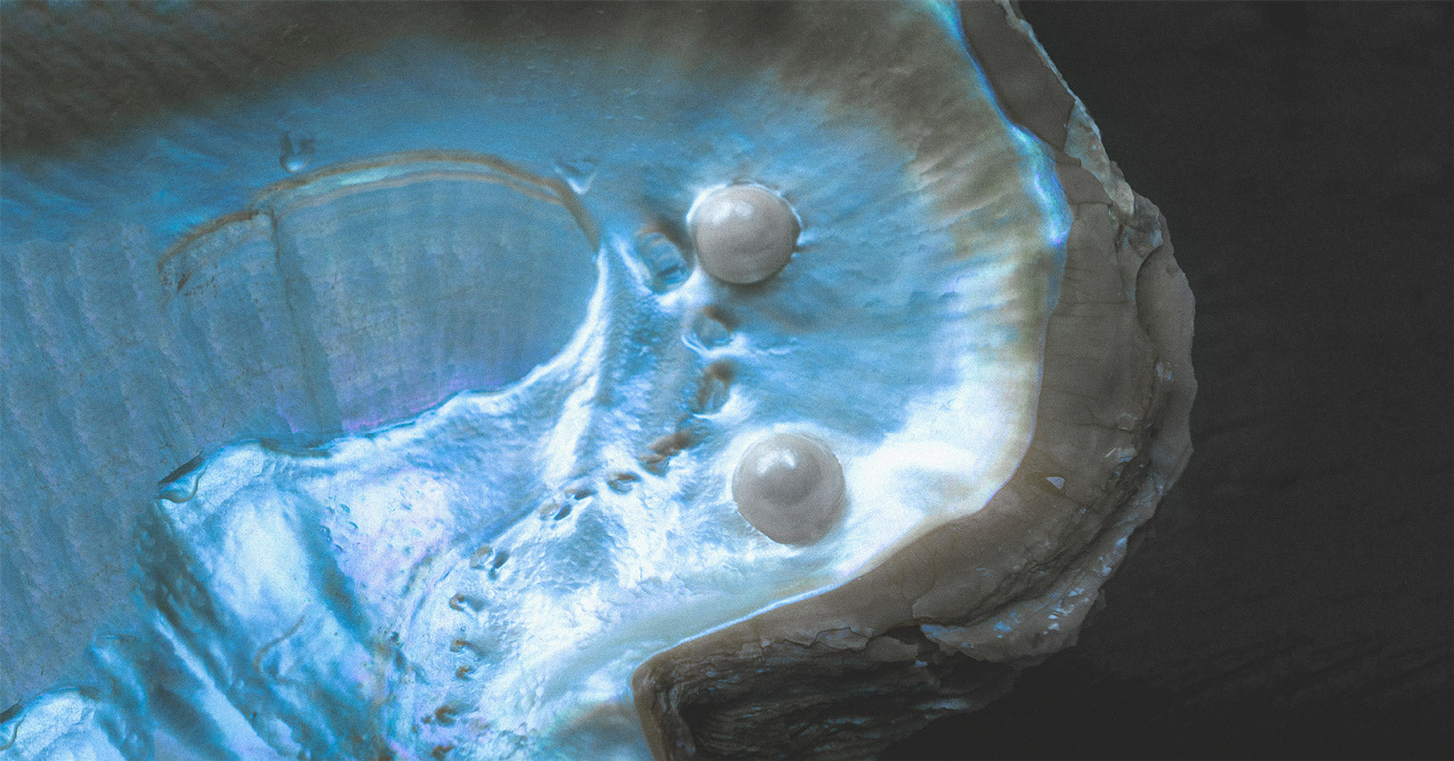 Facts about pearls formation