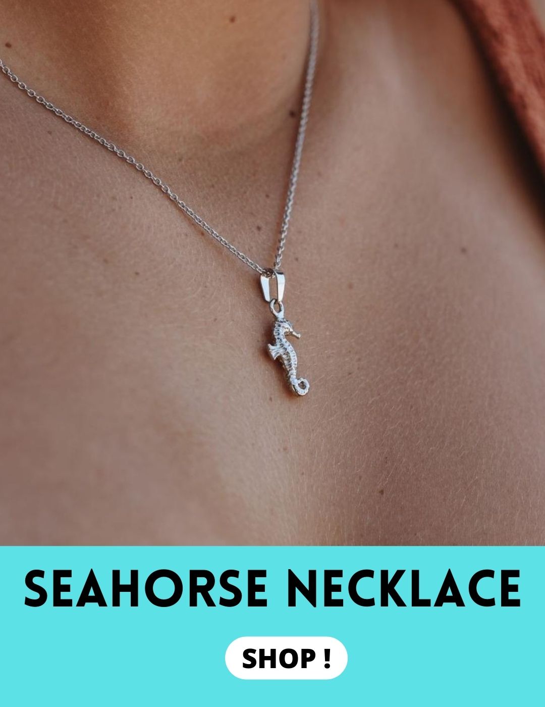 Seahorse pregnancy facts