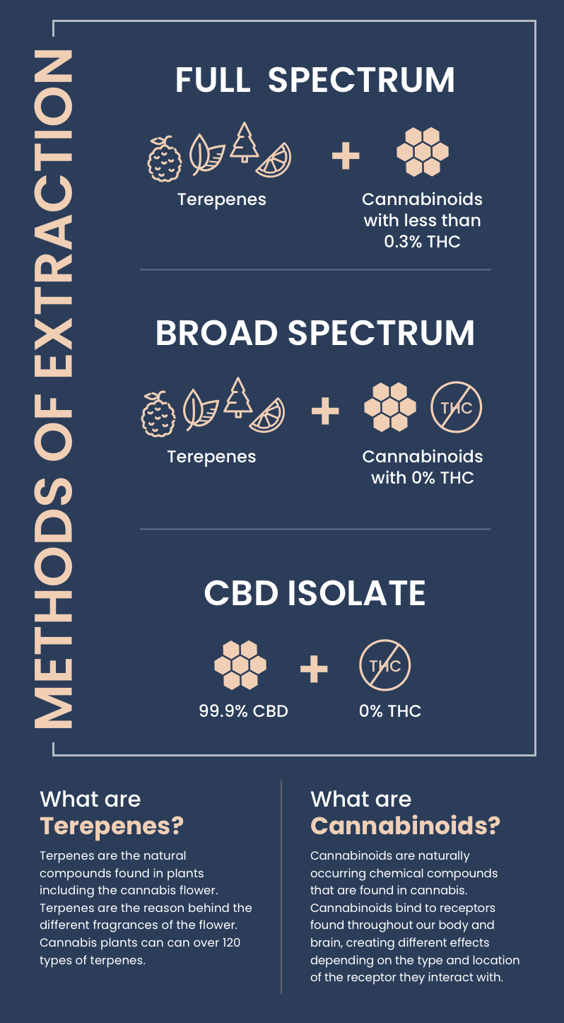 infographic of methods of extraction for cbd 