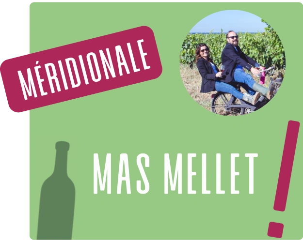 15 rhone (12).webp__PID:6895044e-a9c6-4f8c-b3b1-761653c5a4c0