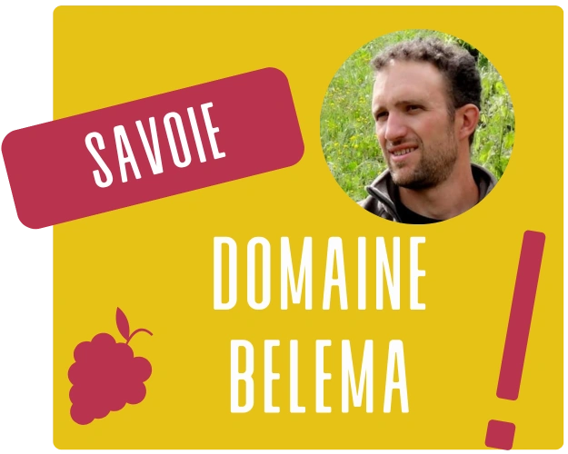 savoie (3).webp__PID:34d29b11-c107-4b3d-83e3-3100e0a18715