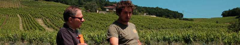 pierre cotton beaujolais vignes vin nature thomas delpy petites caves