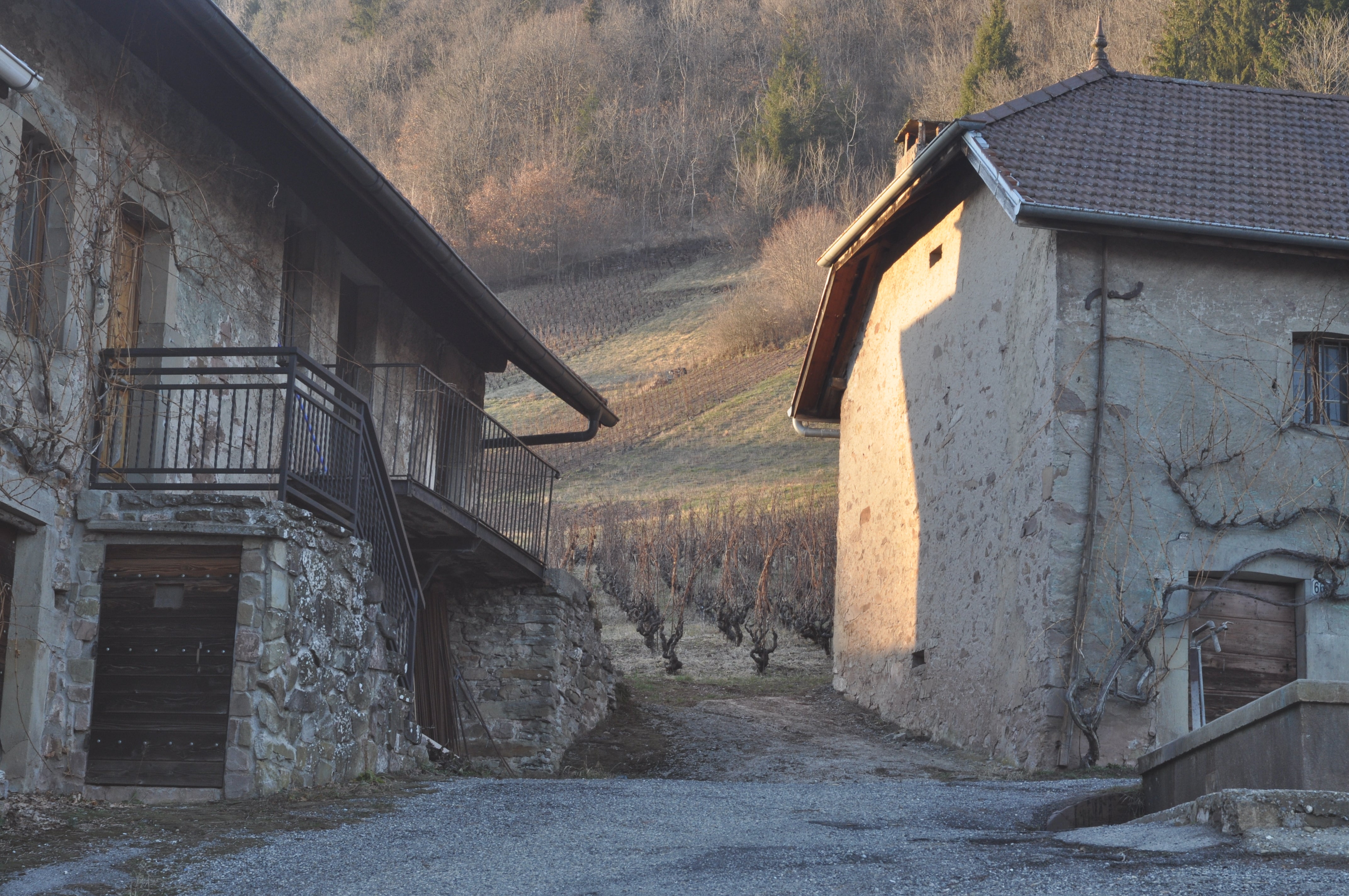 Maison de Belluard