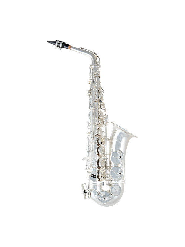 Selmer SAS301 Alto Saxophone Outfit, Saxophones