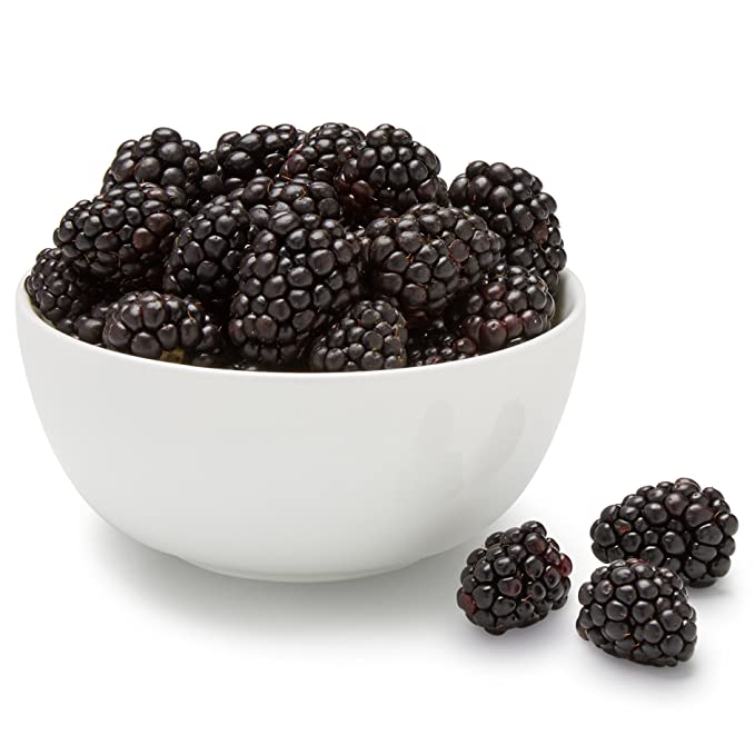 https://cdn.shopify.com/s/files/1/0459/4060/5079/products/Organicblackberries_1024x1024.jpg?v=1661898404