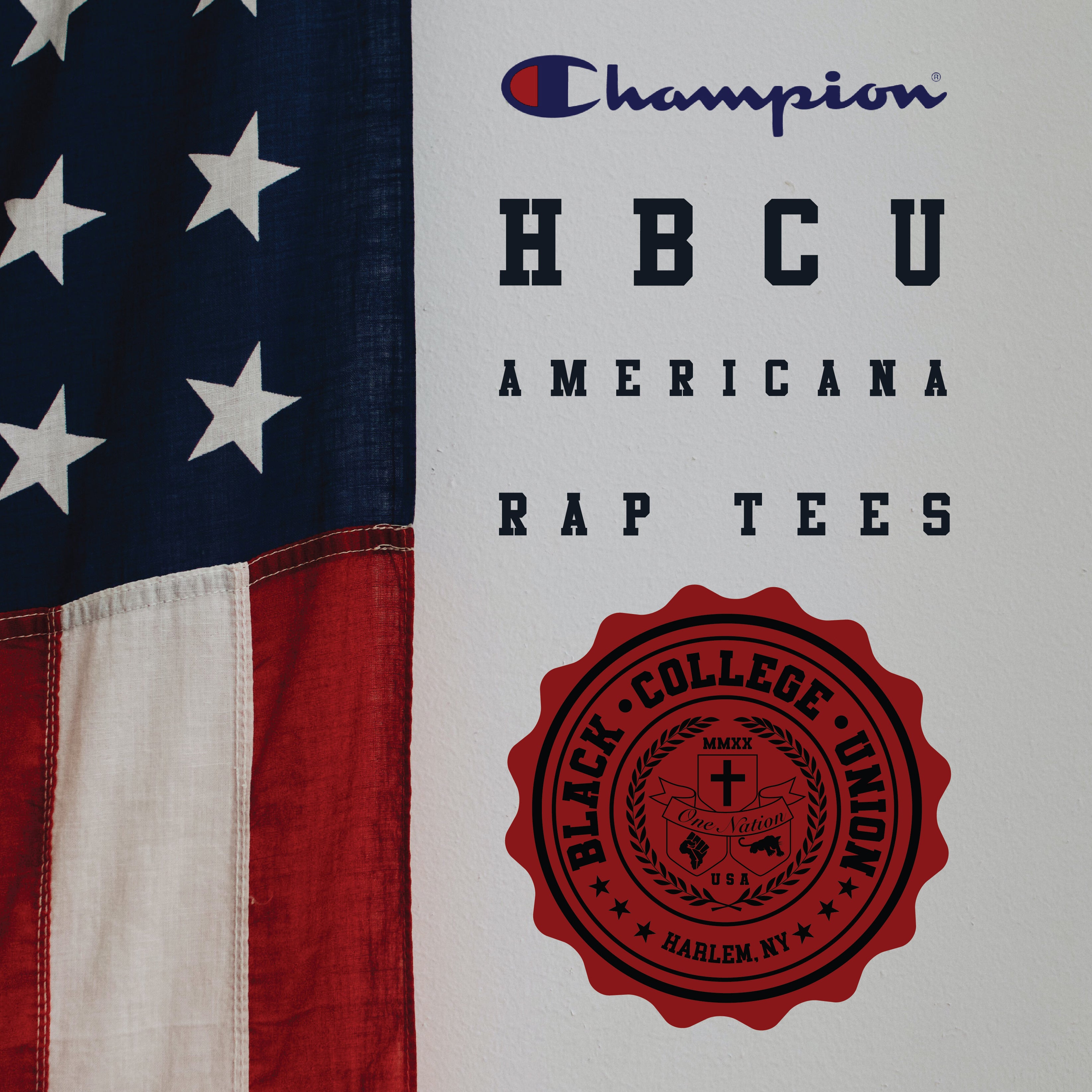 ○送料無料○ Champion Tシャツ RHC×チャンピオン レア for RHC 希少