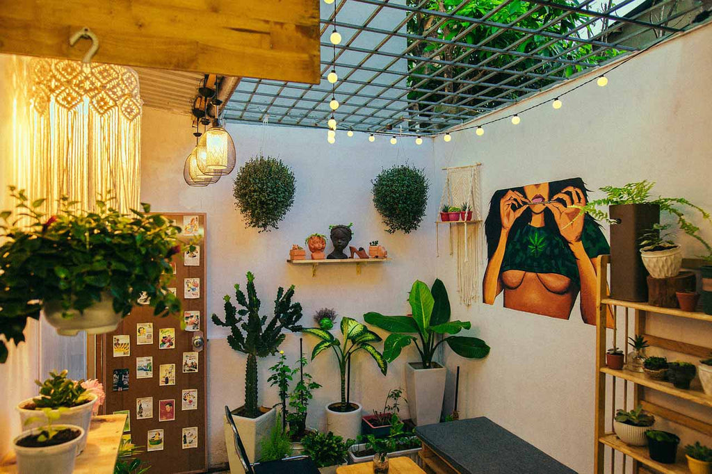 Indoor jungle with multiple house plants and artwork on the walls