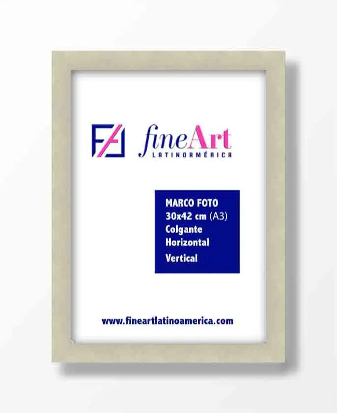 Cúal Solicitud Premisa Marco A3 (30 x 42 cm) – FineArt Latinoamerica