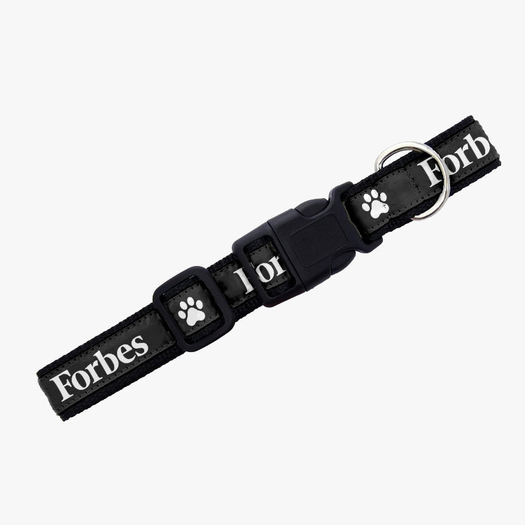 Best Dog Collars 2023 - Forbes Vetted