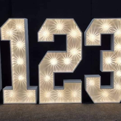 4ft LED Light Up Number 1 – JEvents