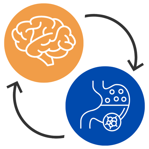 The Gut-Brain Connection