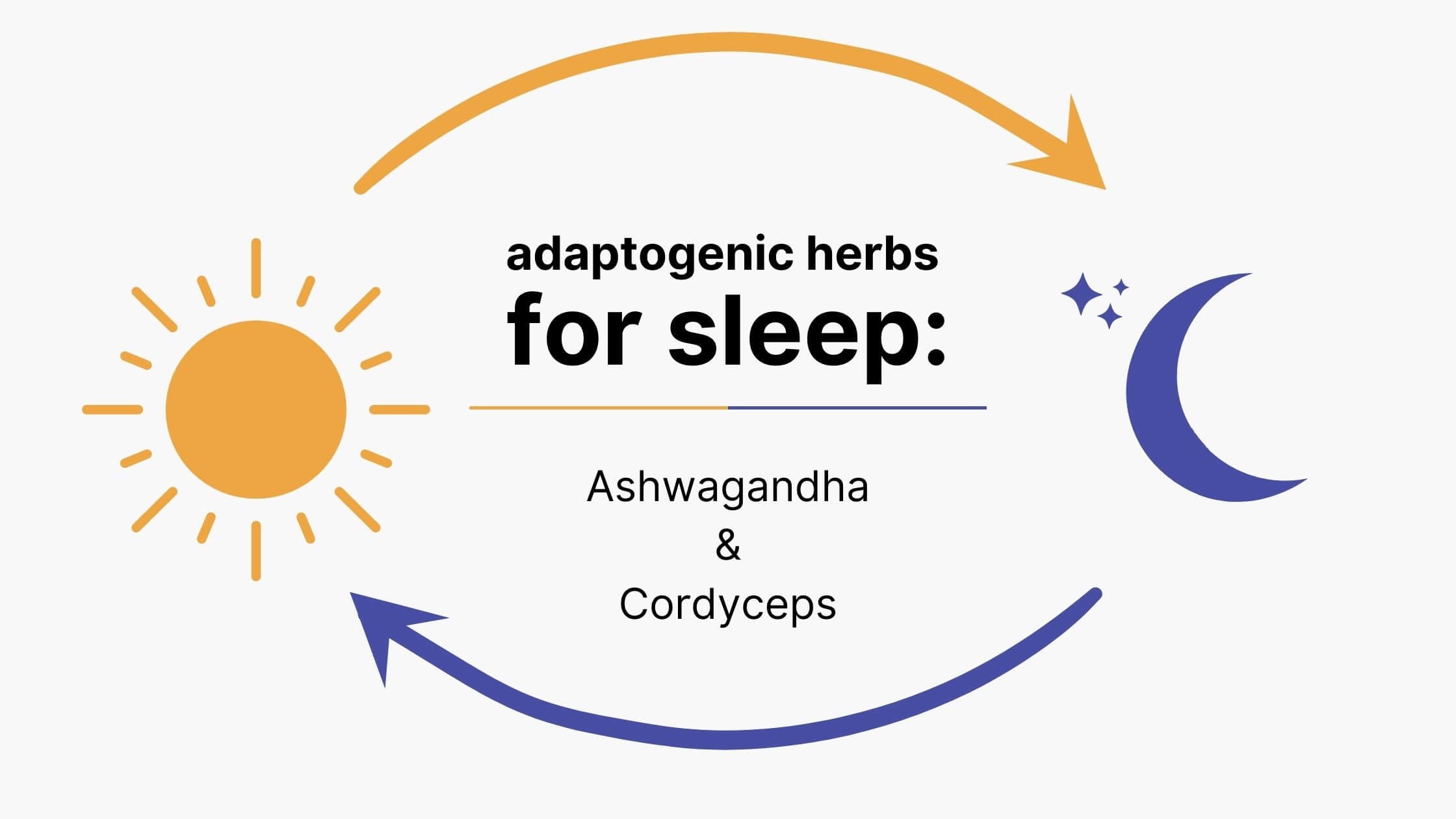 Adaptogens for Sleep Support Diagram