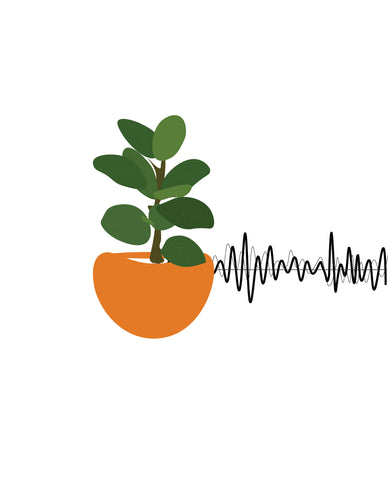 Plants and Music