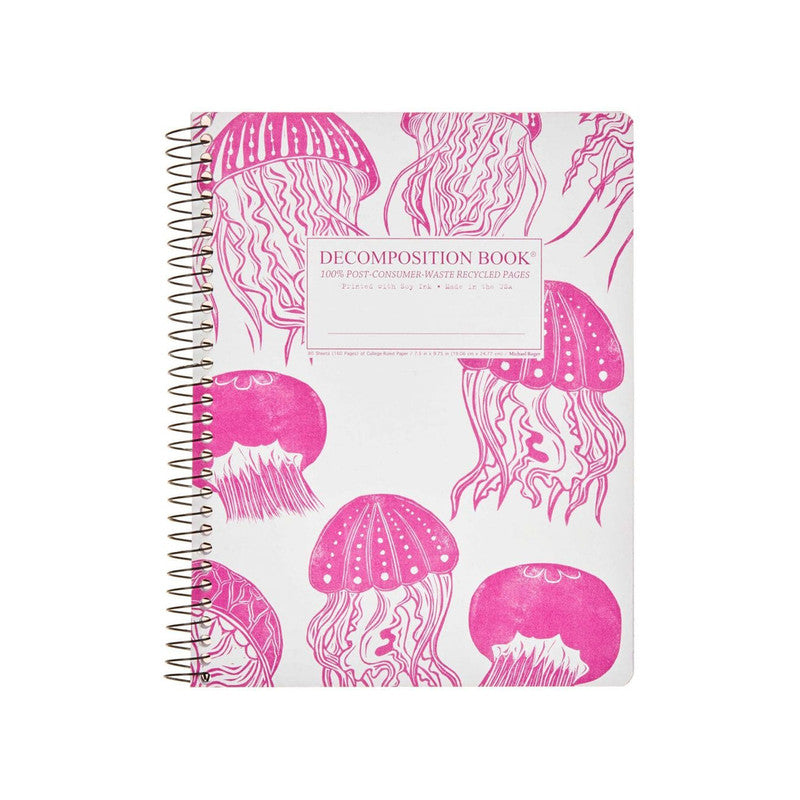 decomposition notebook