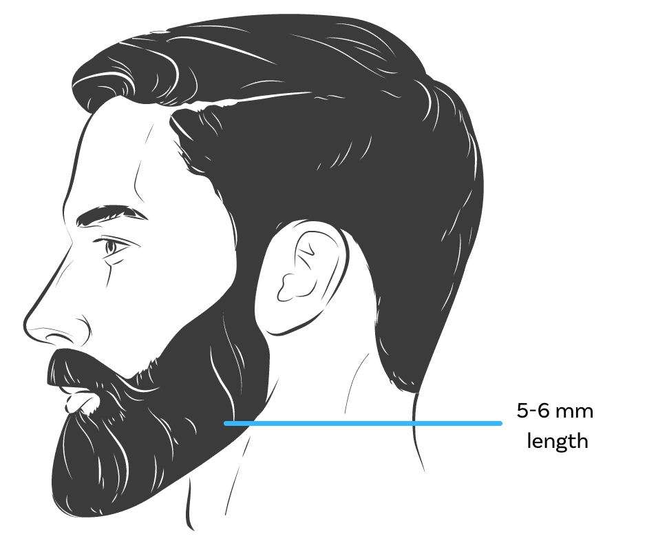 beard style