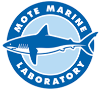 Mote Marine Laboratory & Aquarium