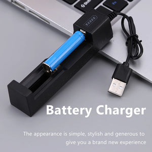 USB Lithium Battery Charger - OGSolarStore