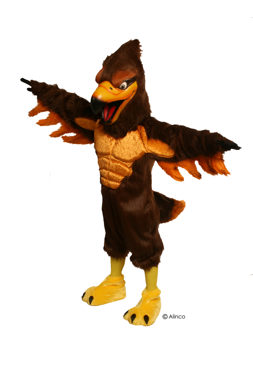 hawk mascot costume