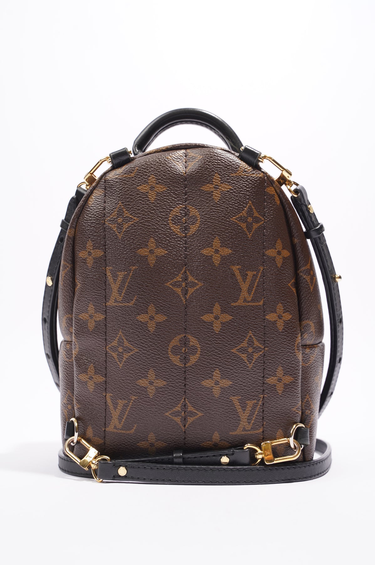 Thoughts on Louis Vuitton Palm Springs Mini? : r/handbags