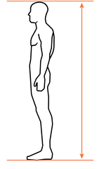 rider height diagram