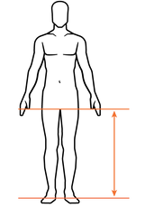 rider inside leg diagram