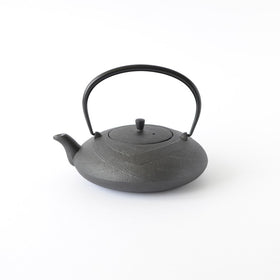 TETSUBIN CAST IRON KETTLE - NAMBU TEKKI ARARE No.9