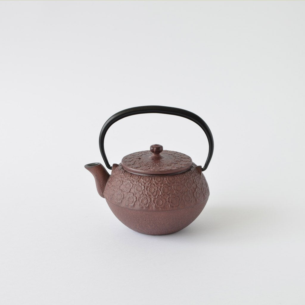 Arare Nambu Ironware Cast Iron Kettle