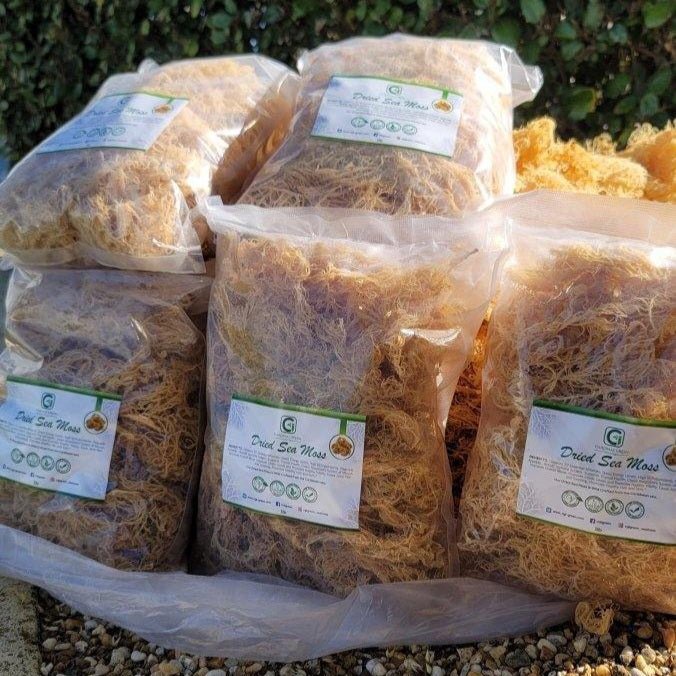 5lb - 25lb + Dried Wildcrafted Gold Sea Moss - Bulk Orders - Wholesale