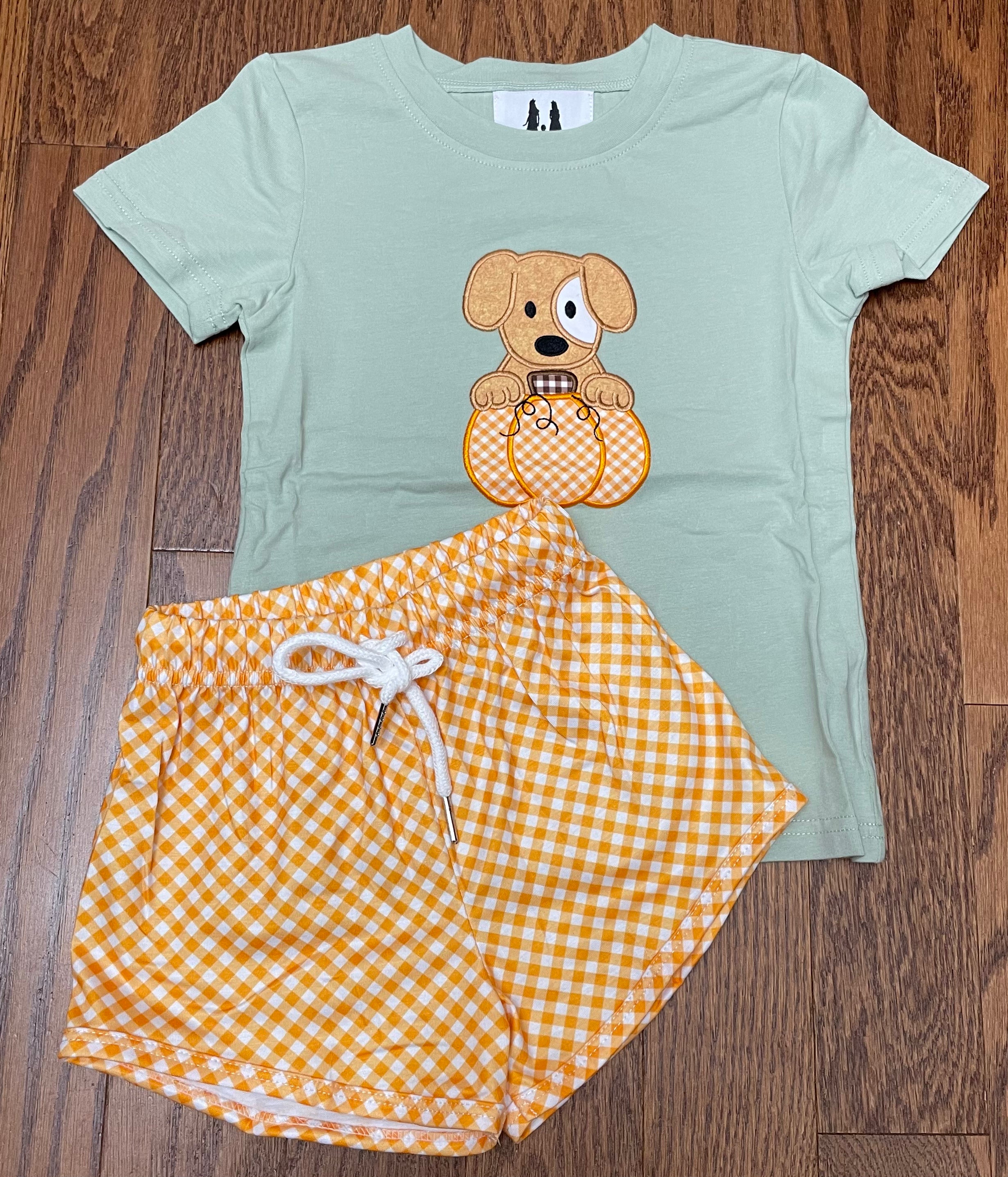 Puppy and Pumpkin boy short set