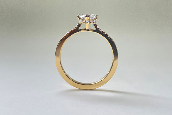 Verborgen halo verlovingsring met ronde diamant en pavé diamanten