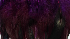 Aubergine feathers