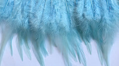 Baby Blue Hen Feathers