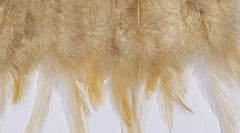 Feathers Beige Hen