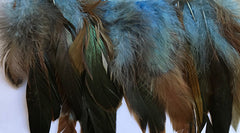 Feathers Blue Coque
