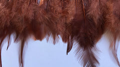 Feathers Brown Coque