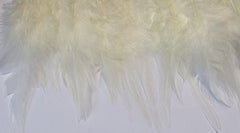 Feathers Cream Hen