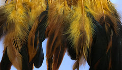 Feathers Gold Coque