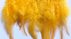 Feathers Gold Hen