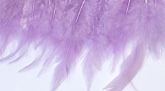 Feathers Light Purple