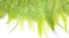 Feathers Lime Green