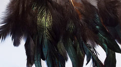 Feathers Natural and Jade Coque