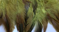 Feathers Olive Green Coque